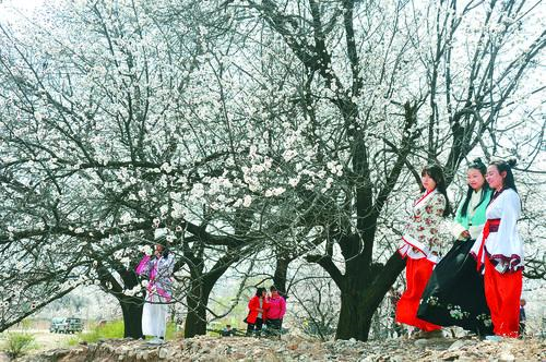 足球比赛在线直播 多视角赛事画面